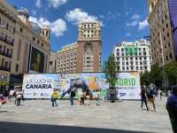 El Mes de Canarias se traslada a Madrid con la primera Gran Luchada oficial y la VIII Romería Canaria