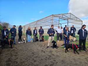 Telde pionera a nivel europeo como la primera ciudad que pone en marcha un PFAE para la formación de instrucción de perros de asistencia
