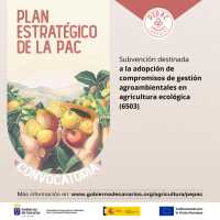 El Gobierno de Canarias convoca las subvenciones del PEPAC para compromisos de gestión agroambientales en agricultura ecológica