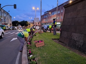 Parques y Jardines embellece las zonas verdes del municipio con más de 4.400 petunias de colores