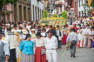 La 71º Romería-Ofrenda del Pino se celebra mañana congregando en Teror a toda Gran Canaria