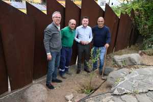 Huertas del Rey acoge una plantación de mimbreras para la artesanía