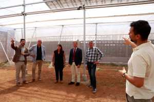 Una instalación fotovoltaica en un invernadero experimental del ICIA en Güímar impulsará la agricultura sostenible