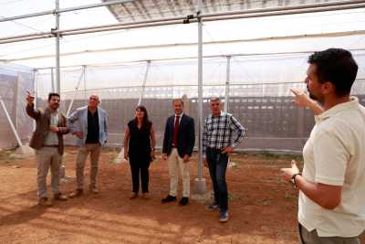 Una instalación fotovoltaica en un invernadero experimental del ICIA en Güímar impulsará la agricultura sostenible