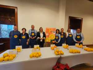 Las mejores naranjas de Telde se deliberan en la cata tradicional celebrada este miércoles en la Casa Condal