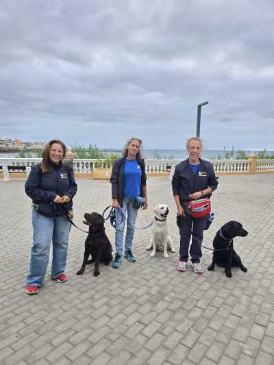 Telde consolida el primer PFAE de adiestramiento canino de Europa, una iniciativa pionera con impacto laboral y social