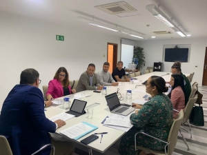 Iván Sánchez representa a Telde en la Mesa Interadministrativa del área de Movilidad y Transporte de la FECAM