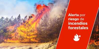 Actualización INFOCA: situación de alerta por riesgo de incendios forestales en islas occidentales y Gran Canaria