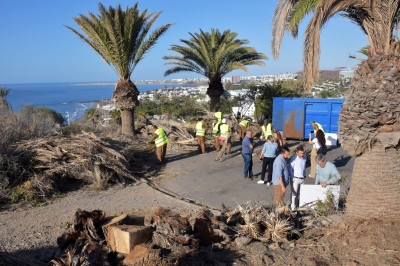 El Ayuntamiento y Foresta trabajan en la restauración ambiental de Morro Besudo