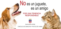 El Ayuntamiento recuerda que los animales no son juguetes y apela a la responsabilidad en estas fechas