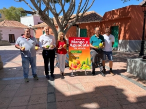 Mogán se prepara para celebrar la V Feria del Mango y del Aguacate de Verano