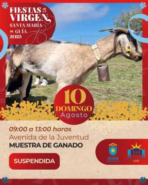 El Ayuntamiento de Guía suspende la muestra de ganado prevista para mañana domingo dentro de las Fiestas de La Virgen 2025