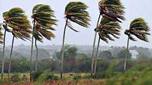 El Gobierno de Canarias finaliza la prealerta por viento en las islas
