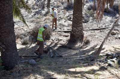 El Ayuntamiento y Foresta acometen otra restauración ambiental en la zona turística