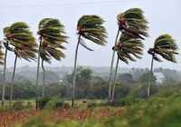 El Gobierno finaliza la situación de prealerta por viento en todas las islas