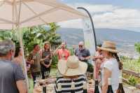 Éxito de la jornada de puertas abiertas de las bodegas de Canary Wine “Descorcha Canarias”