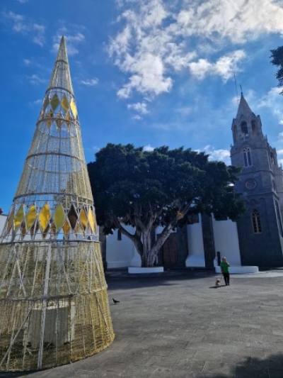 Telde coloca 170.000 bombillas microled para adornar las calles durante la Navidad