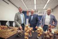 El Gobierno de Canarias refuerza el apoyo a la producción local de variedades de papas antiguas