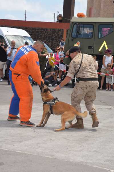 Jornadas de Actividades en Las Palmas de Gran Canaria para celebrar el Día de las Fuerzas Armadas