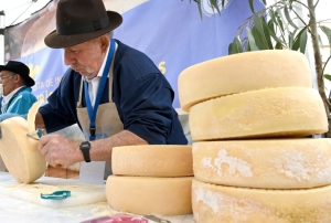 La Fiesta del Queso de Montaña Alta congregó hoy a varios miles de visitantes de toda Gran Canaria