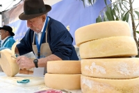 La Fiesta del Queso de Montaña Alta congregó hoy a varios miles de visitantes de toda Gran Canaria