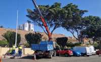 Alumbrado Público inicia la segunda fase de reposición de las farolas en Eucaliptos II