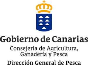 El Gobierno de Canarias concede ayudas POSEI a 38 productores de huevos de gallina por importe de 490.000 €