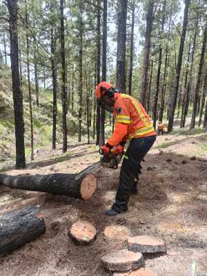 Personal de Protección Civil se forma en un curso de manejo y mantenimiento de motosierra