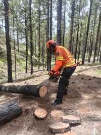 Personal de Protección Civil se forma en un curso de manejo y mantenimiento de motosierra
