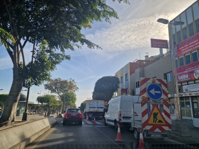 Parques y Jardines inicia trabajos de poda en la rambla central de San Gregorio