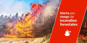 El Gobierno actualiza la situación de alerta por riesgo de incendios forestales a toda Canarias