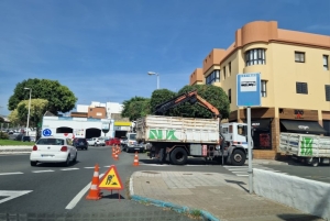 Parques y Jardines inicia los trabajos de poda en San Gregorio