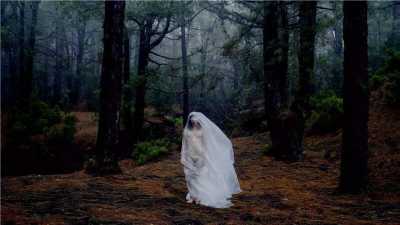 Asiria Álvarez sistematiza y documenta en un catálogo el trabajo de 140 mujeres creadoras del ámbito del audiovisual y la fotografía