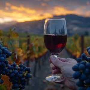 El Gobierno de Canarias convoca las ayudas del POSEI para la producción de vinos con DOP