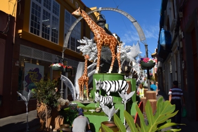 El casco ultima los preparativos para la apertura de su exposición floral este miércoles a las 19.30 horas