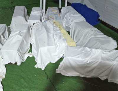 Gáldar finaliza una nueva campaña de esterilización y control de 250 gatos