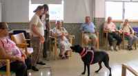 Mogán implementa terapias asistidas con perros en el Centro para la Autonomía Personal y Centro Ocupacional