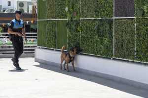 La Unidad Canina de la Policía Local de Mogán detiene a un hombre con drogas en Arguineguín