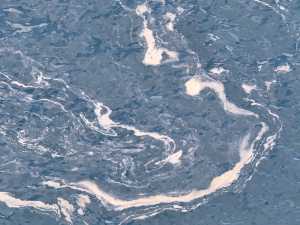 El Ayuntamiento de Telde denuncia el avance de nuevas manchas de residuos por el litoral y más peces muertos en las jaulas marinas