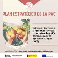 El Gobierno de Canarias convoca subvenciones del PEPAC destinadas a la gestión agroambiental en agricultura ecológica