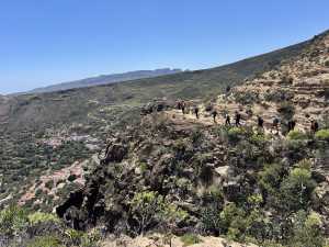 Mogán celebra más de 20 años recorriendo los senderos de  Gran Canaria