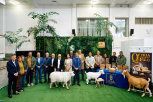 La IX Feria Europea del Queso reunirá a una treintena de queserías para convertir La Aldea en sede internacional del sector