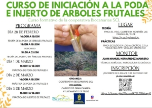 Telde acoge la próxima semana un curso de iniciación a la poda e injerto de árboles frutales